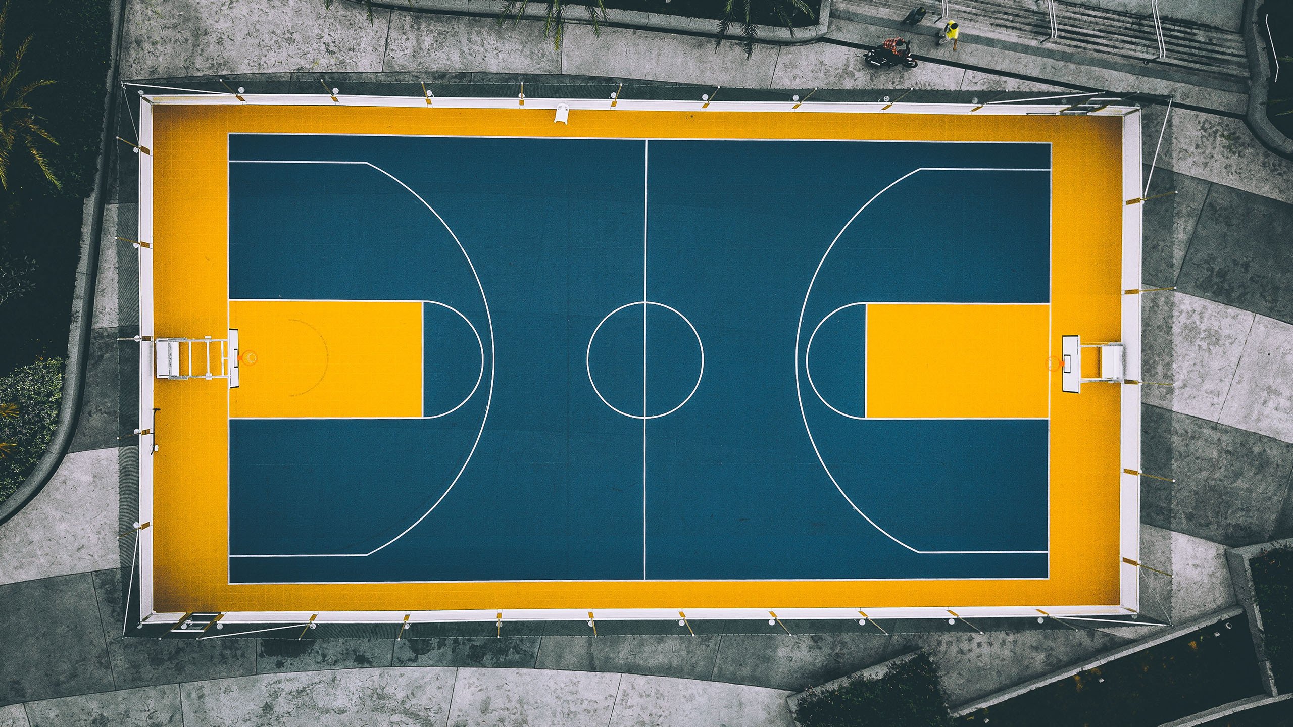 今年NBA场均助攻和篮板排名前五名都有哪些？，nba场均助攻数