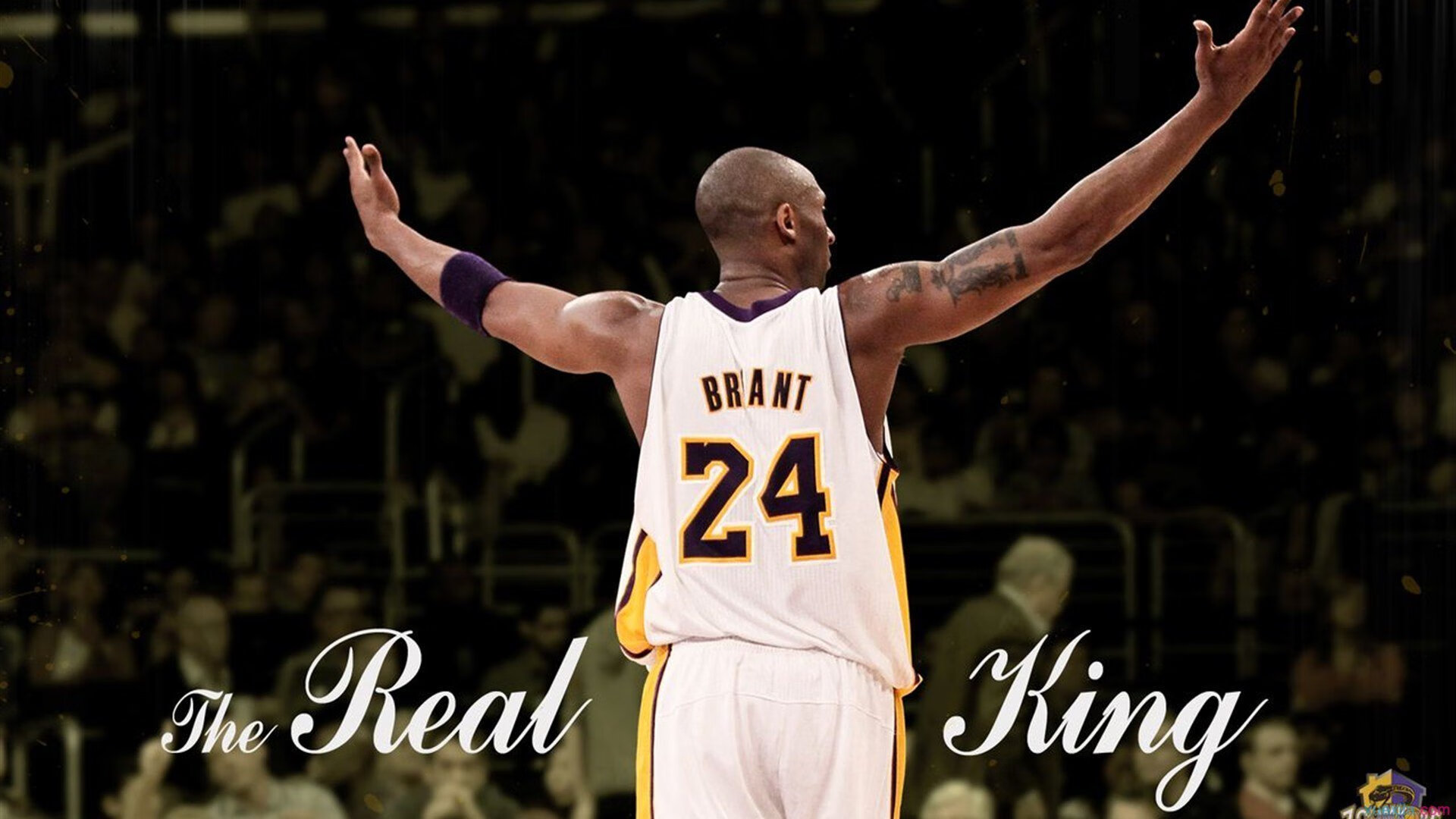 波兰队未来发展:如何打造全员型选手,实现比赛全能,波兰队小组