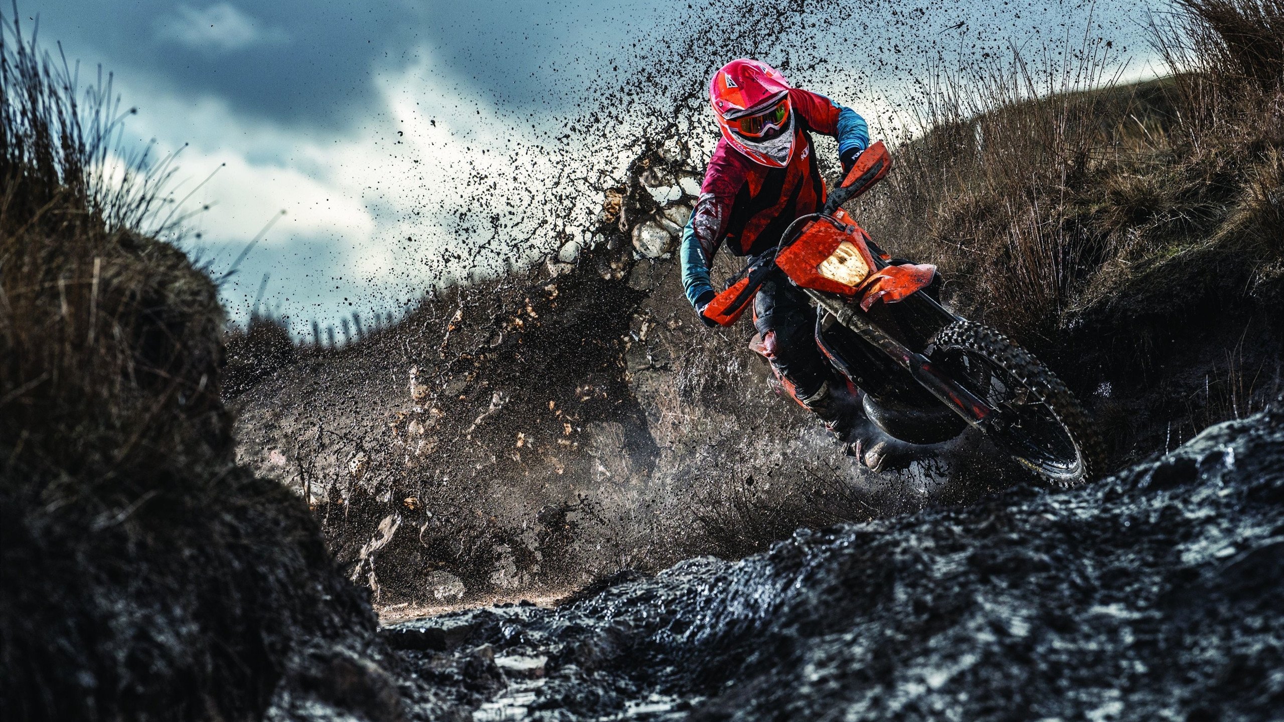 施瓦茨中段发力 展现后程能力，施瓦茨集团