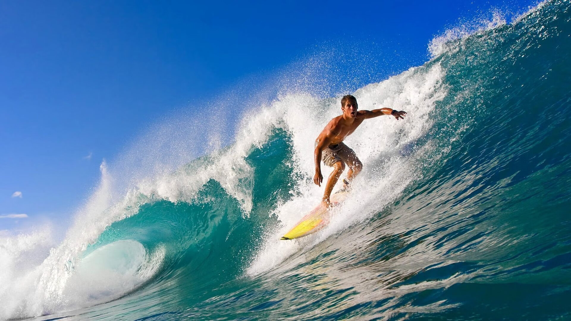 荷兰队在国家联赛中4-0大胜匈牙利，晋级四分之一决赛。，荷兰队对战