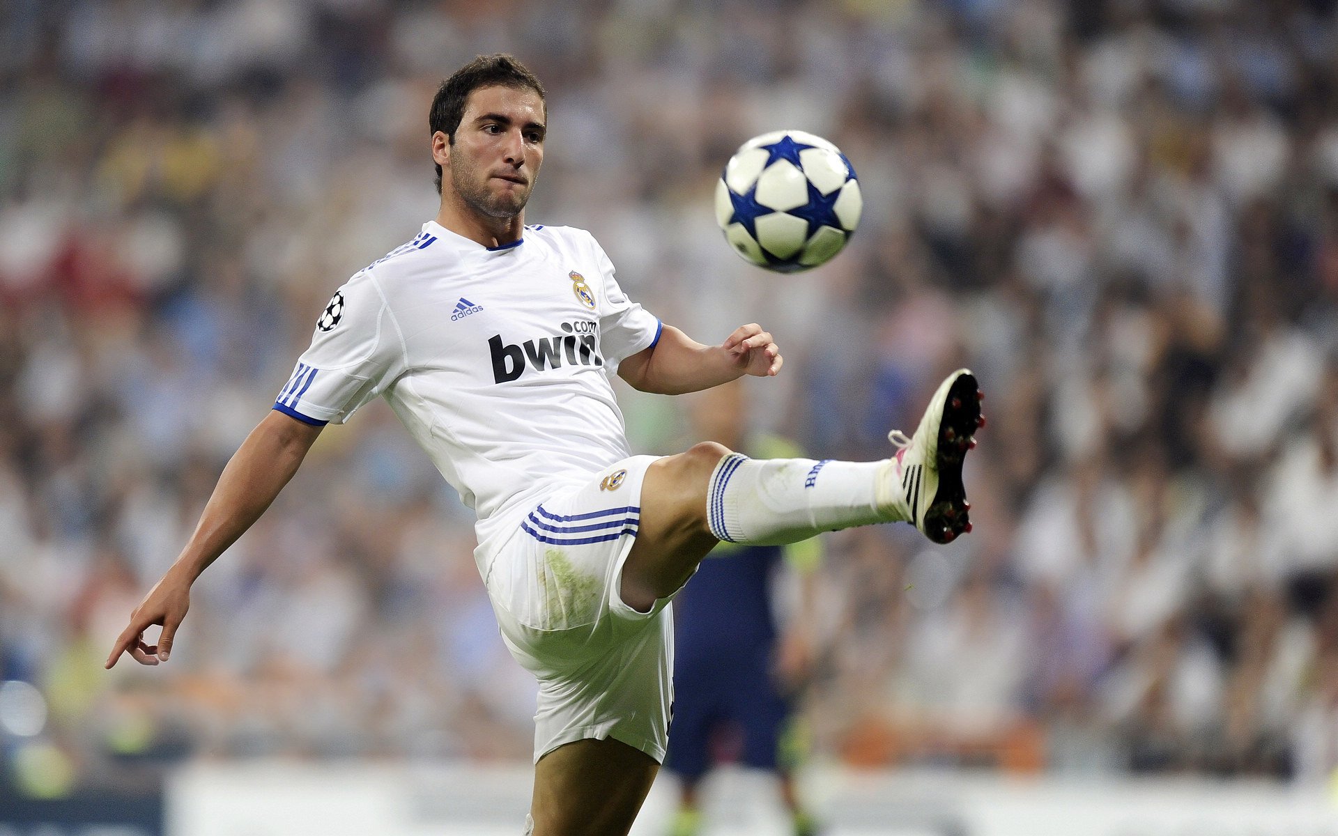 开云体育在线登入-葡萄牙骑手吉尔贝托·费利佩在2024年全国工作马术锦标赛中以“Morante”马匹获得大师组冠军，展现出色表现。